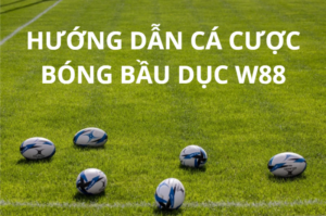 cá cược bóng bầu dục w88