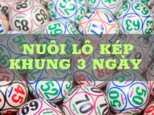 nuôi lô kép khung 3 ngày