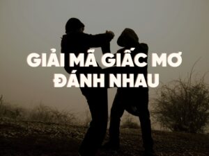 giải mã giấc mơ đánh nhau