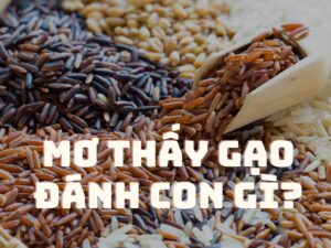 mơ thấy gạo đánh con gì