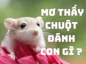 mơ thấy chuột đánh con gì ?