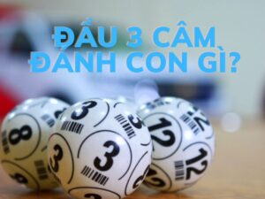 đầu 3 câm đánh con gì?