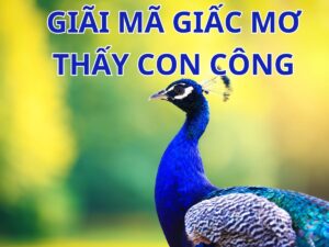 giải mã chi tiế giấc mơ thấy con công