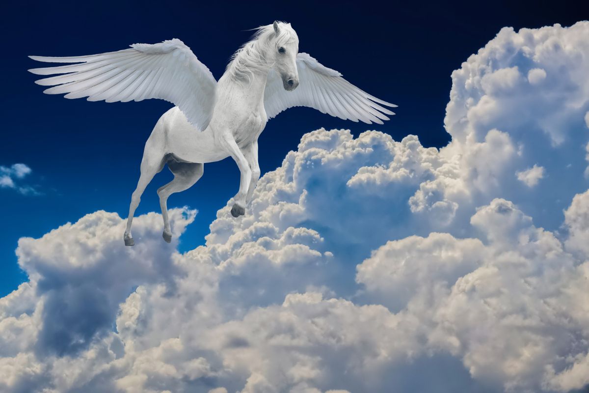 Ngủ mơ thấy ngựa bay lên trời
