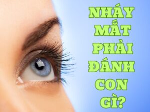 nháy mắt phải đánh con gì?