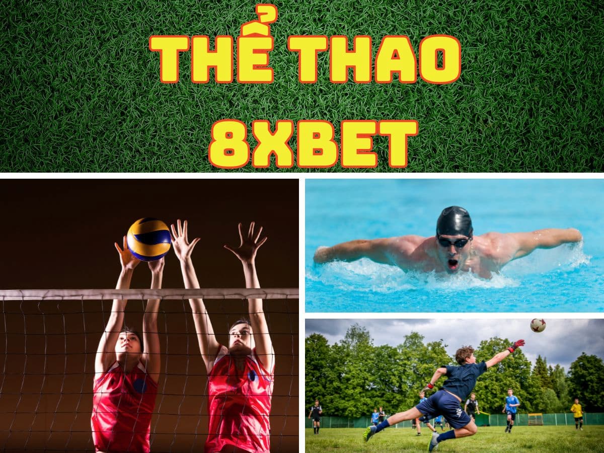 cá cược thể thao 8xbet