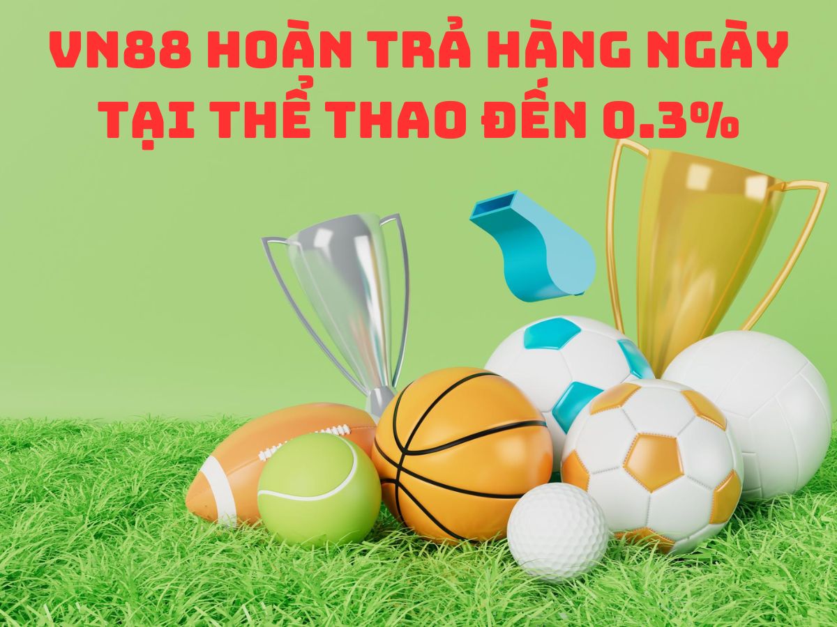 vn88 hoàn trả hàng ngày tại thể thao đến 0.3%